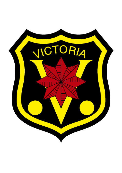 Logo Padel Victoria